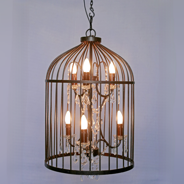 Prakasham 6 Lights  Wrough Iron Caged Chandelier