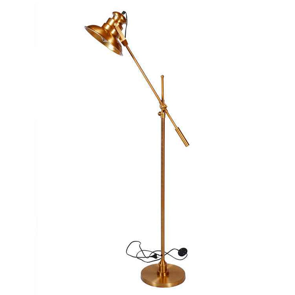 Versatile Illumination Floor Lamp
