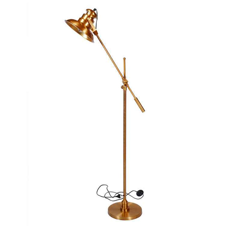 Versatile Illumination Floor Lamp