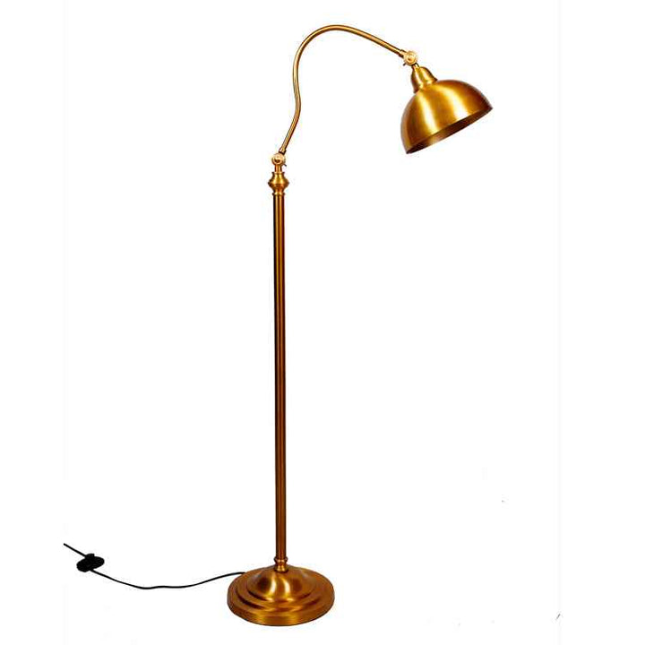 Curved Radiance Floor Lamp
