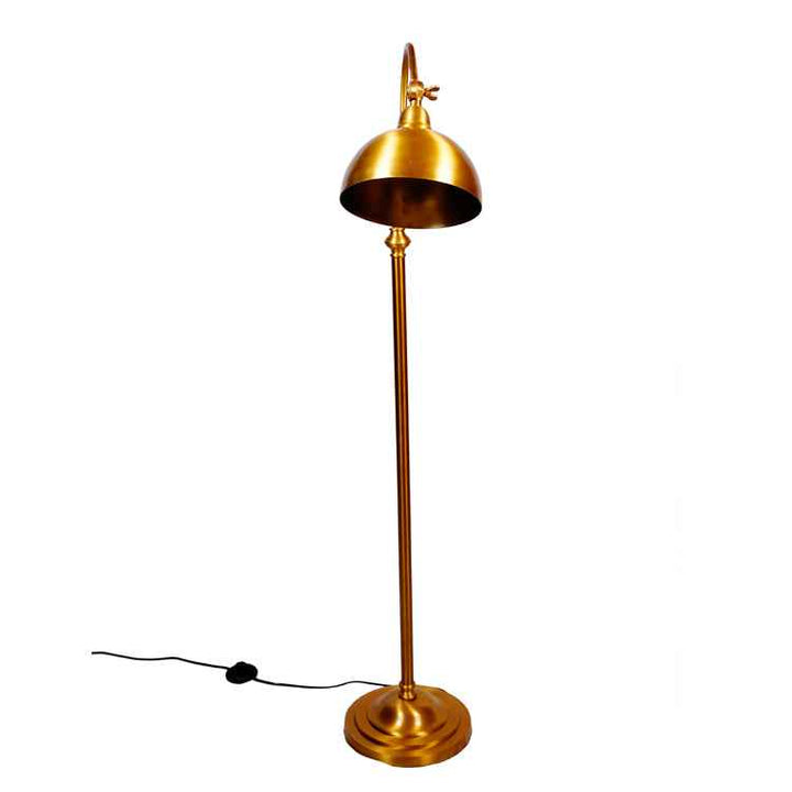 Curved Radiance Floor Lamp
