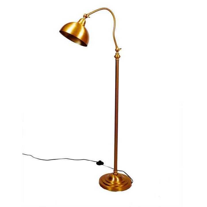 Curved Radiance Floor Lamp